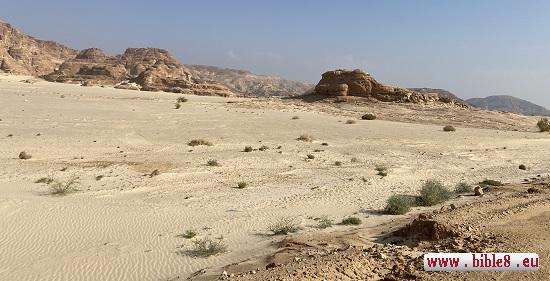 Typical landscape of the Sinai Peninsula